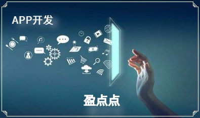 APP开发公司